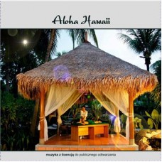 ALOHA HAWII - LEMIESIEWICZ - CD