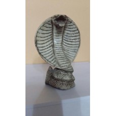 Kobra Egipska - Wąż Kleopatry
